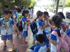 广州小学爆料最新消息,揭秘校园事件背后的真相