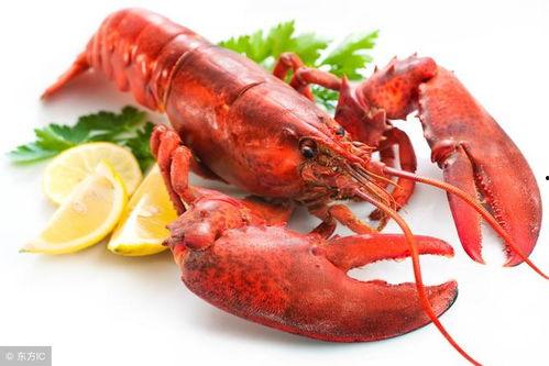 龙虾最新爆料新闻内容,揭秘幕后真相，行业乱象引发热议